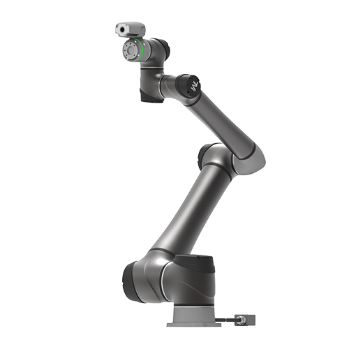 tmrobot_0001_TM12S-06